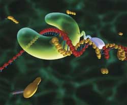 American experts advise on advanced diagnostic techniques
