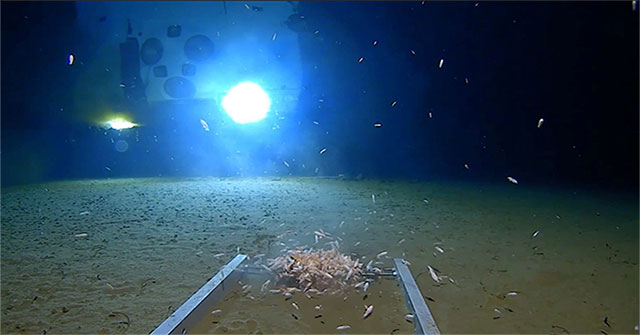American explorer dives into the deepest ocean trench in the world