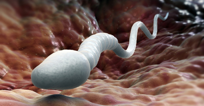 American University research: semen is good for female health, anti-depression