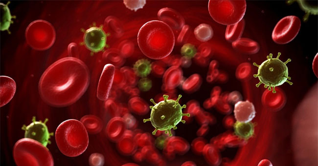 America's incredible discovery: The most feared cancer cell is love