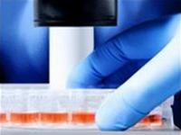 An additional researcher was found to be a researcher of stem cells