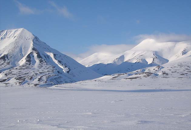 Ancient creatures exist in the Arctic winter