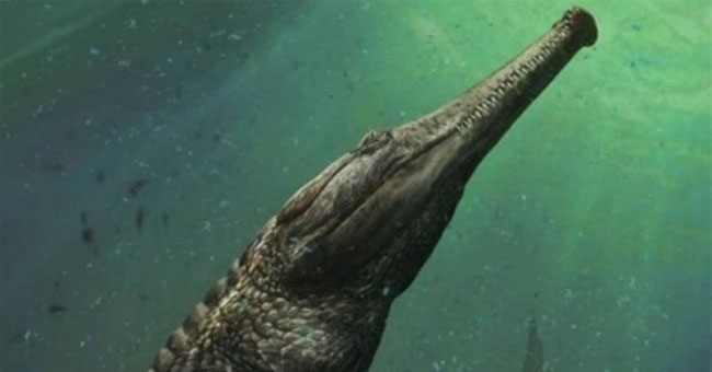 Ancient crocodile monsters weigh three tons living under the sea