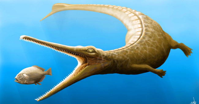 Ancient crocodiles ever clever like dolphins?