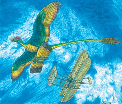 Ancient dinosaurs fly with 4 wings