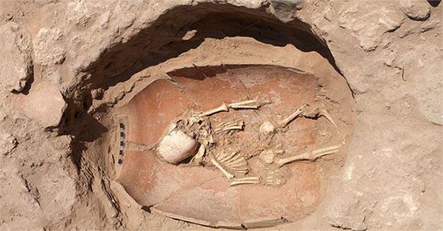 Ancient DNA revealed the origin of the Philistines