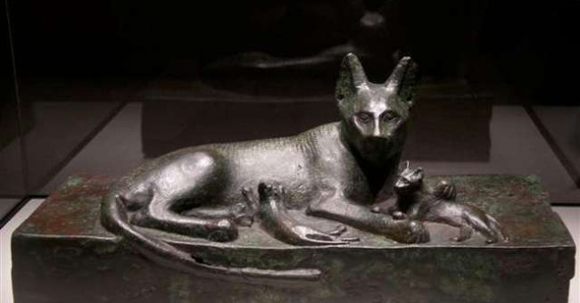 Ancient Egyptians lost their country because ... love cats so much