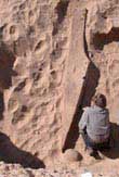 Ancient Egyptians were good seafarers