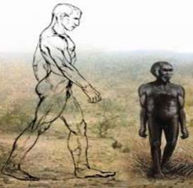 Ancient elves were once tall