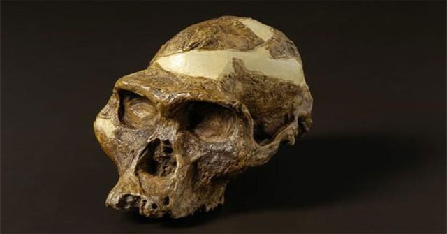 Ancient human mysteries bear the powerful teeth