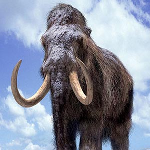 Ancient mammoth resurrection by cloning