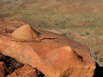 Ancient microorganisms form rocks of Stromatolite 34 million years old