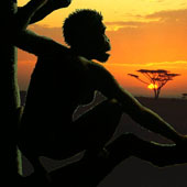 Ancient people were able to climb as well as gibbons