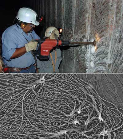 Ancient plant compounds discovered in salt walls of waste treatment sites