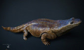 Ancient salamanders are as large as cars