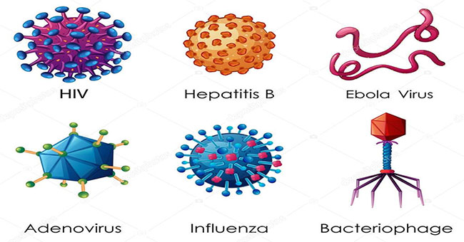 Ancient viruses hidden in genes can play an important role in addiction
