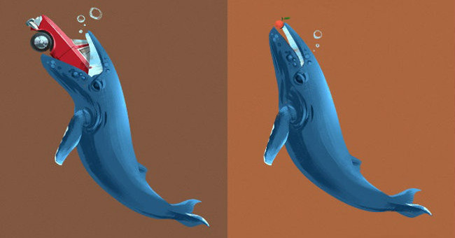 Anecdotes should not believe other animals