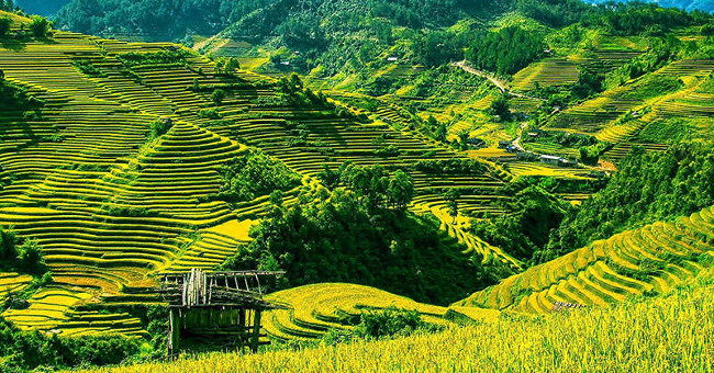 Anh newspaper chooses Vietnam as the best place to travel alone
