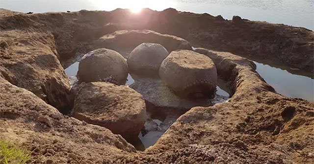 Animal fossils discovered 20,000 years old