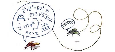Animals also learn but smarter are not necessarily better (Part 2)