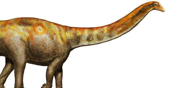 Animals push back dinosaurs to eat meat with a tail