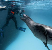 Animals take human life in the blink of an eye