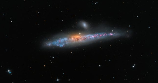 Animate the space whale image