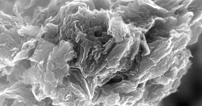 Announcing the method of cleaning up radiation in Fukushima