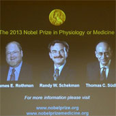 Announcing the owner of the 2013 Nobel Prize for Medicine