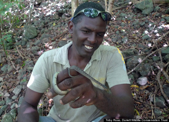 Announcing the world's rarest animal