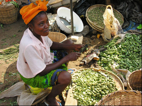 Another generation, Africa can support itself