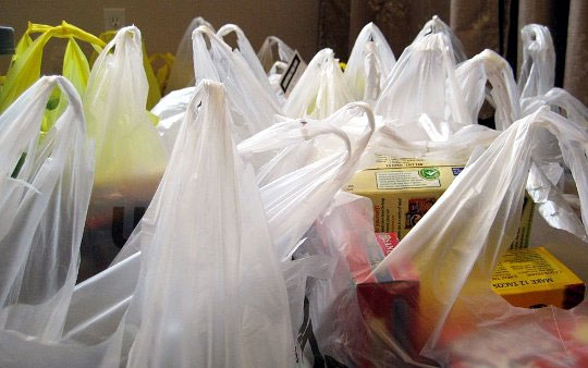 Another US city banned plastic bags