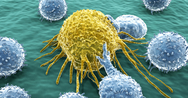 Answer 11 common questions about cancer