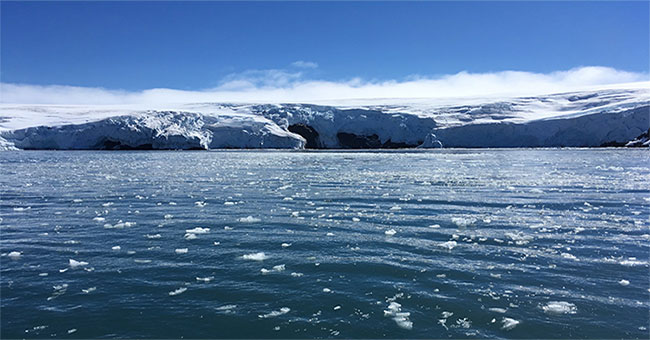 Antarctic ice is melting faster than scientific forecast