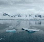 Antarctic Project-100: Russian divers reach the world record