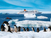 Antarctic temperatures are record high, reaching 17.5 degrees Celsius