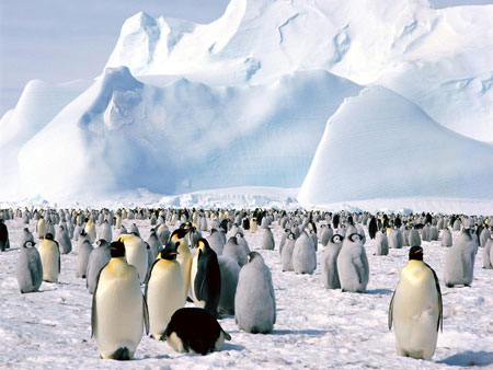 Antarctica is rising