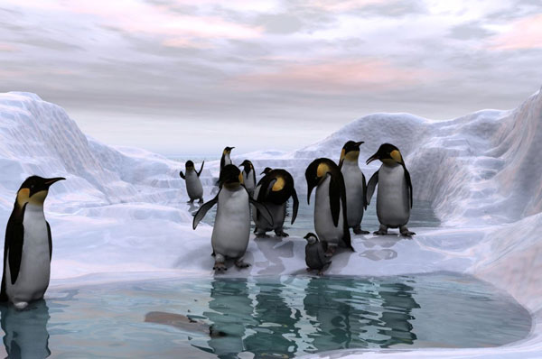 Antarctica was once warm