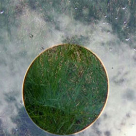 Anti-glare screen self-cleaning
