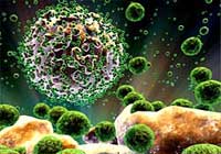 Anti-HIV cream for women