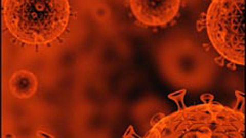 Anti-HIV vaccine, a challenging search