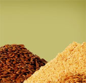 Antioxidant is a double-edged sword