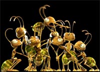 Ants also teach and learn
