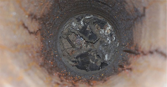 Ants summon their fellow humans to survive in the bunker