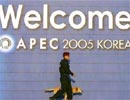 APEC wants to cooperate with bird flu
