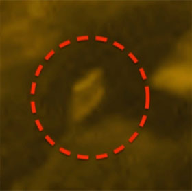Appearance of UFOs on the surface of the Sun?