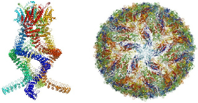 Application of biomolecular imaging techniques to win the Nobel Prize
