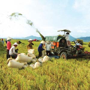 Application of biotechnology in agriculture