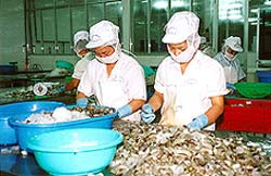 Application of biotechnology in the processing industry