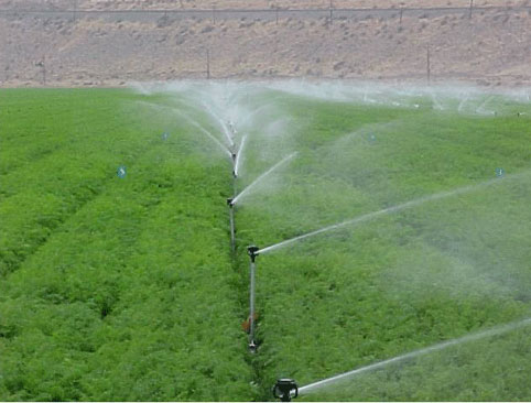 Application of rain spraying technology in Ly Son island